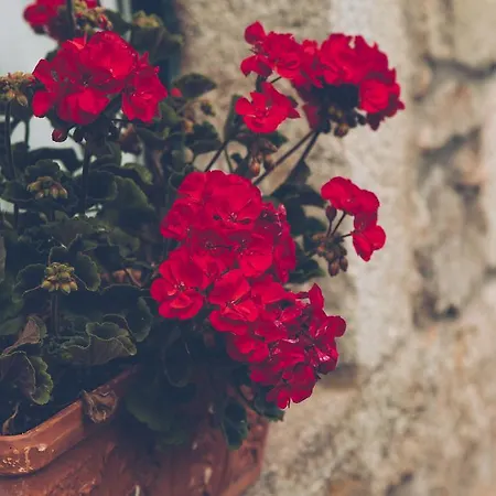 Landhuis Parada De Francos