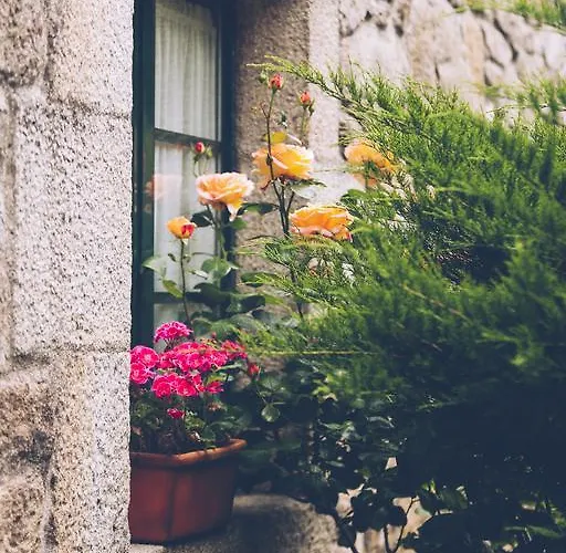 Parada De Francos Teo